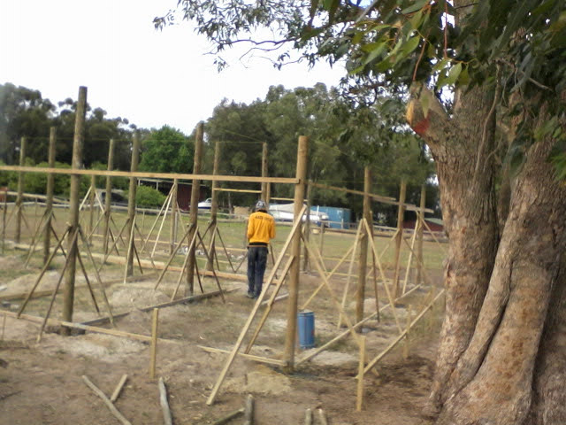 whatsapp image 2025 11 06 at 19.50.03 69fcf0aa